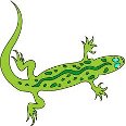 Lizard Landing logo