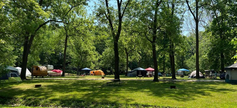 Tent sites among the trees