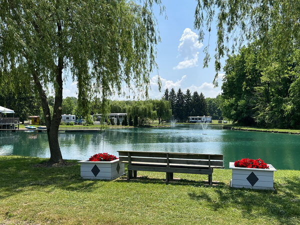 View of the lake from the main drive