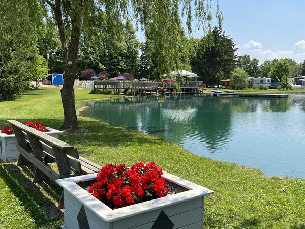 The pond, with a bench and flower planters
