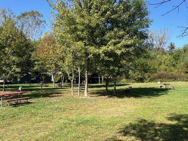 New tenting area up the hill